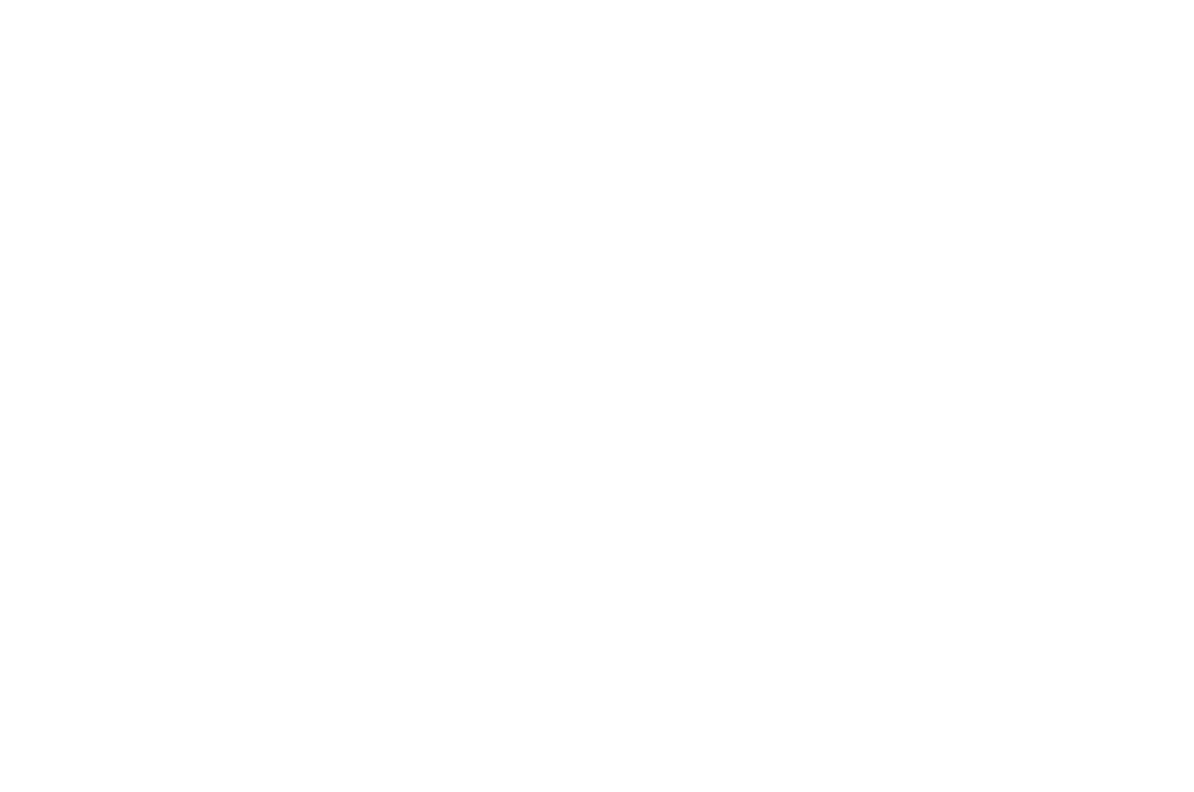Official Selection Chicago Horror Film Festival 2022